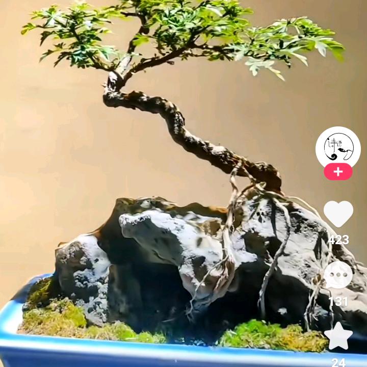 小叶花园