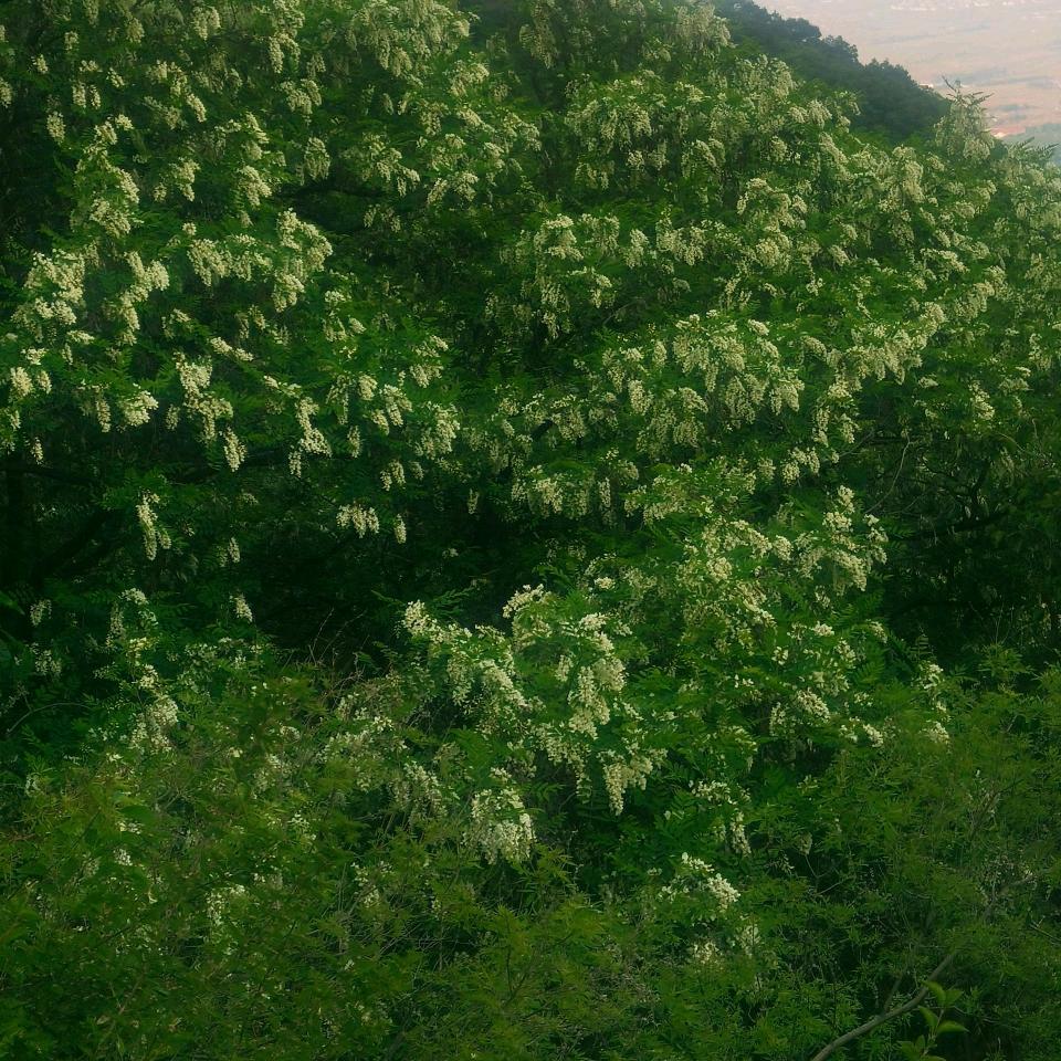 程姥姥(泰宏国际城店)