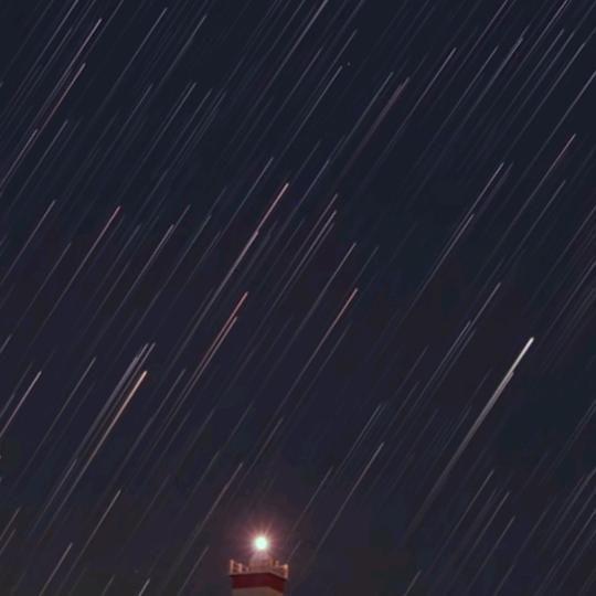 冬日梅林