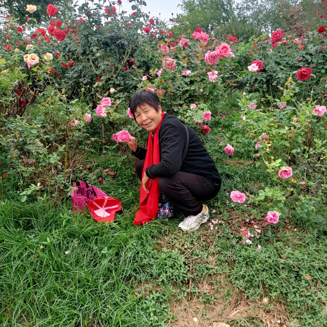 潇潇奶奶🌸