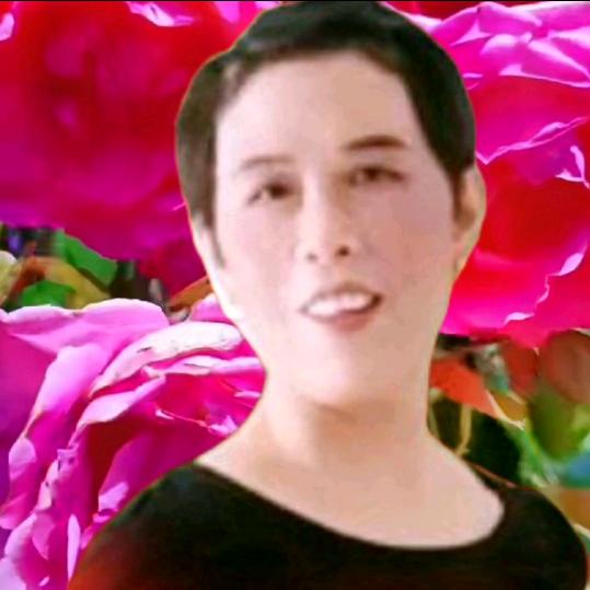 枝子🌺开