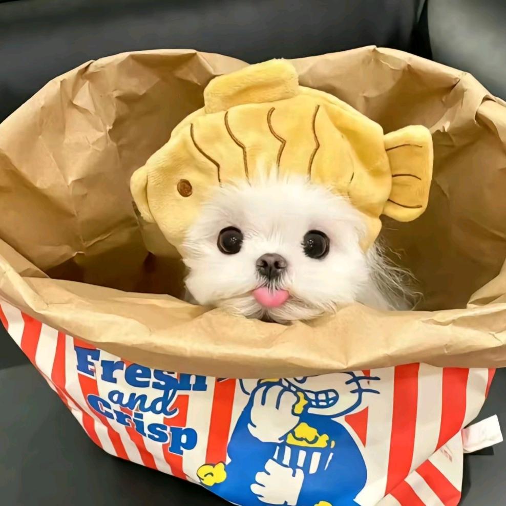 壮壮妈