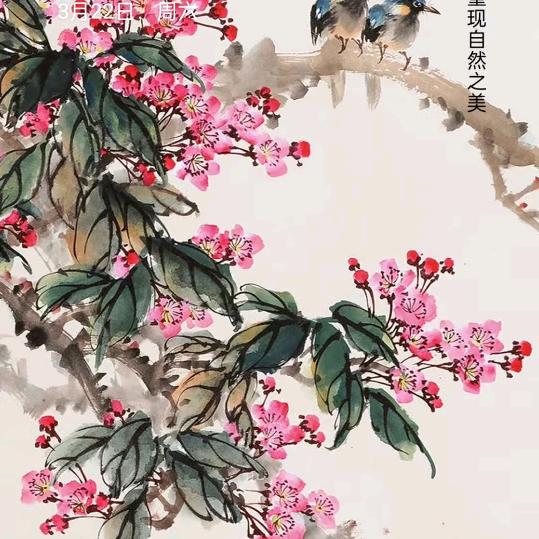 锦上添花