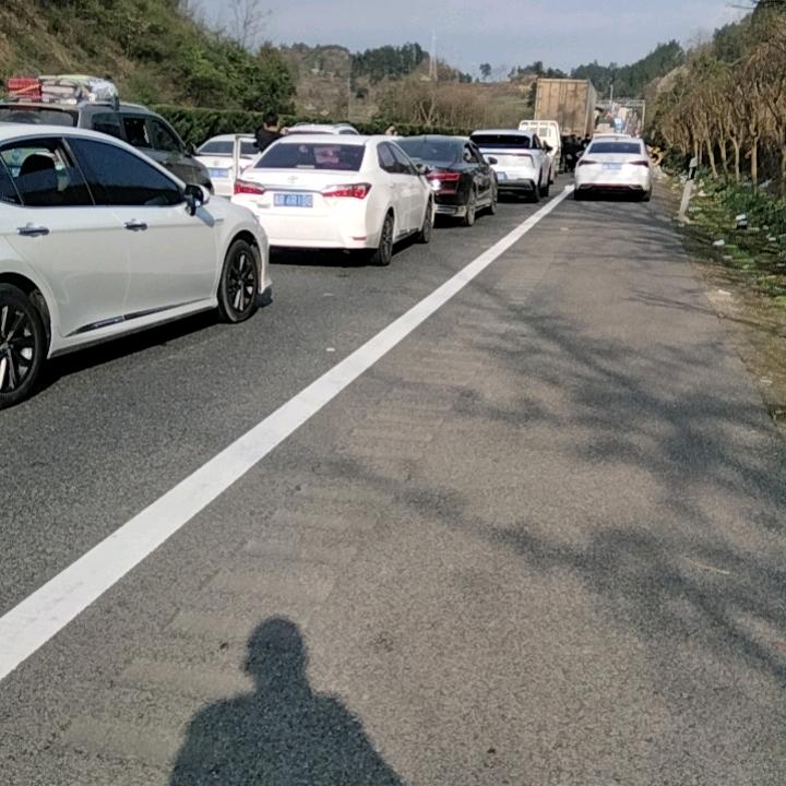 小杨