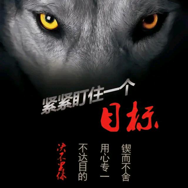 塞上江南(宁夏))