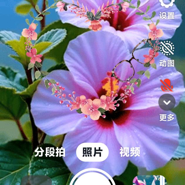以和为贵