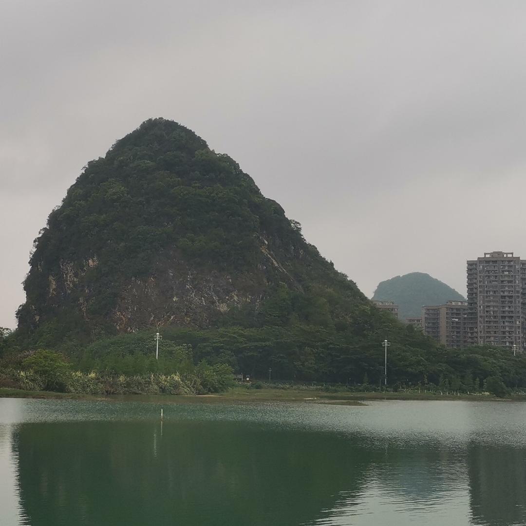 象