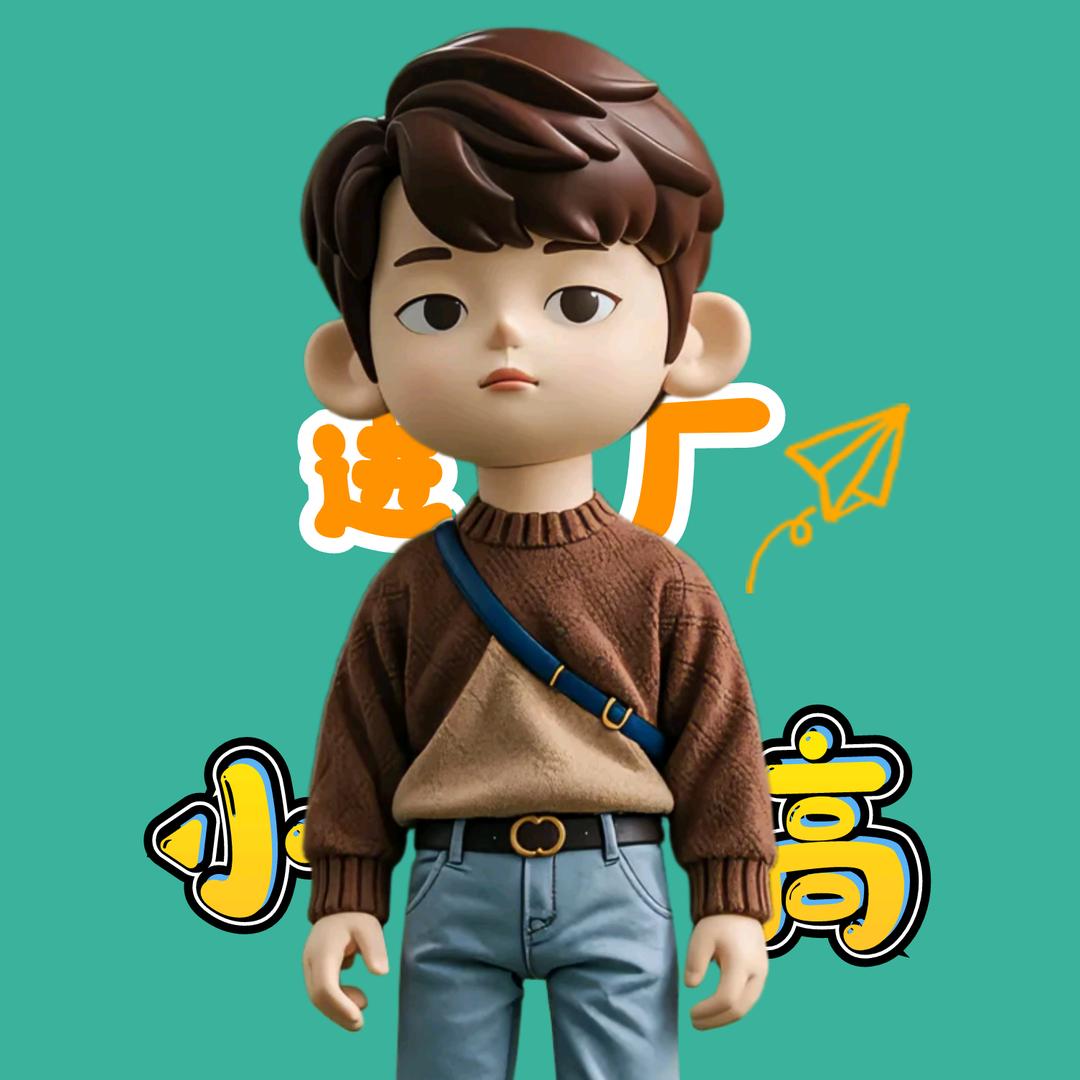 进厂冩未来的小高