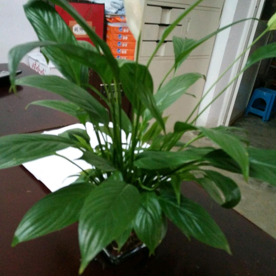 最熟悉的陌生人