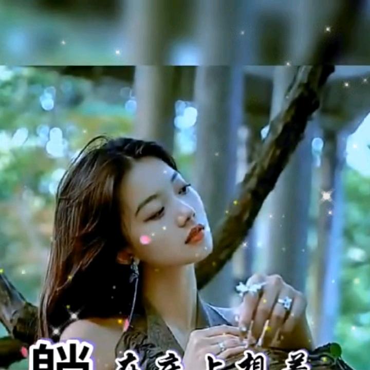 冰梅