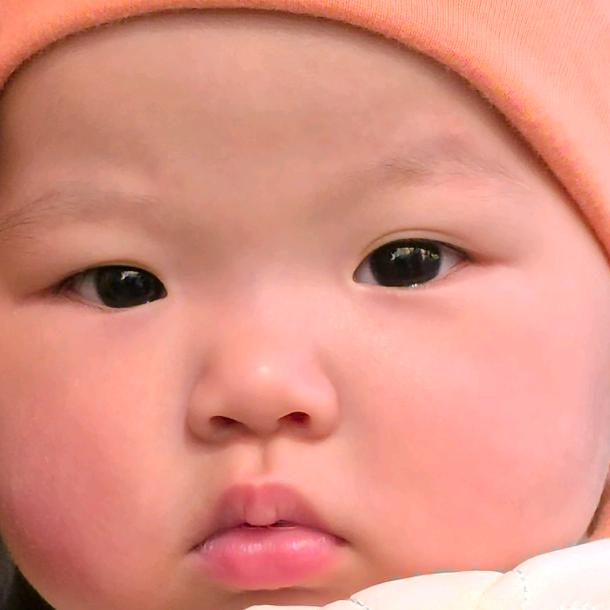 赚钱养兔子