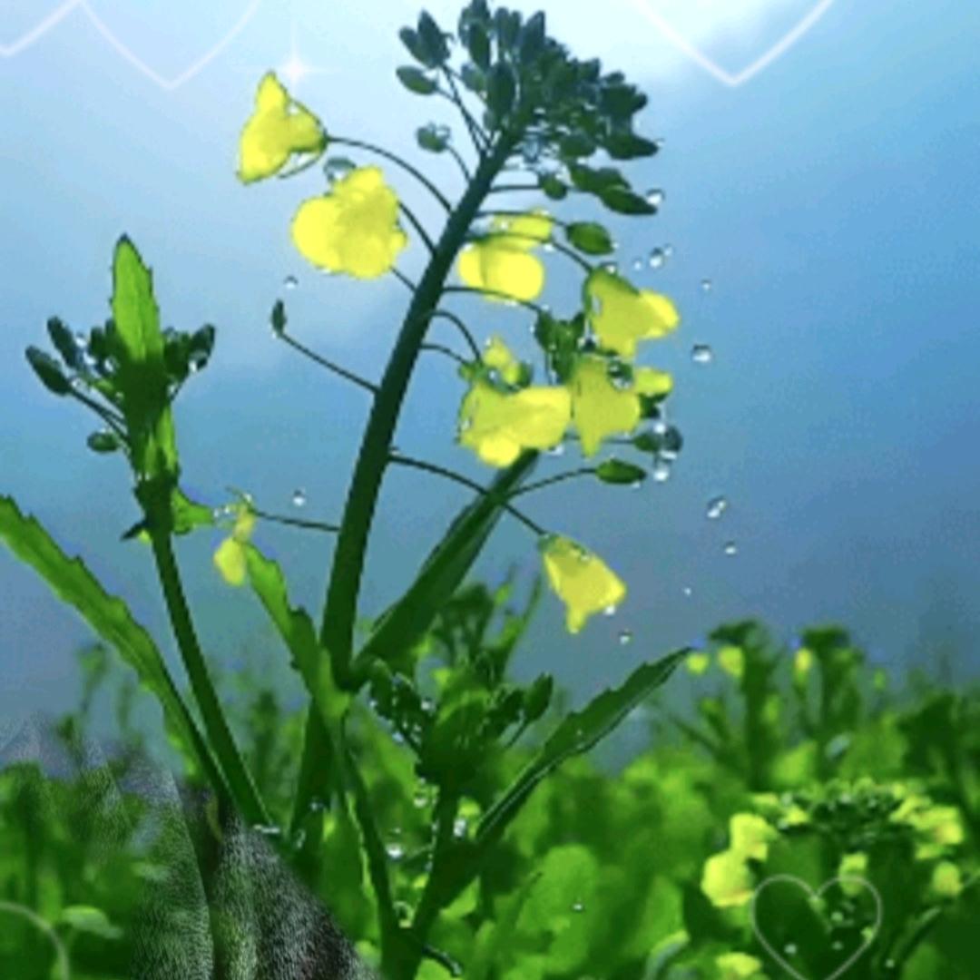 感恩的心，感谢有你👌