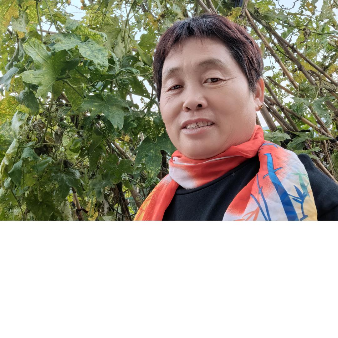 李四姐