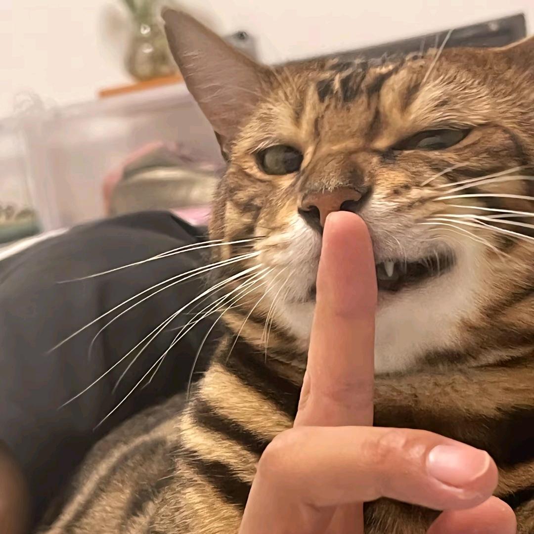 不爱穿摇裤