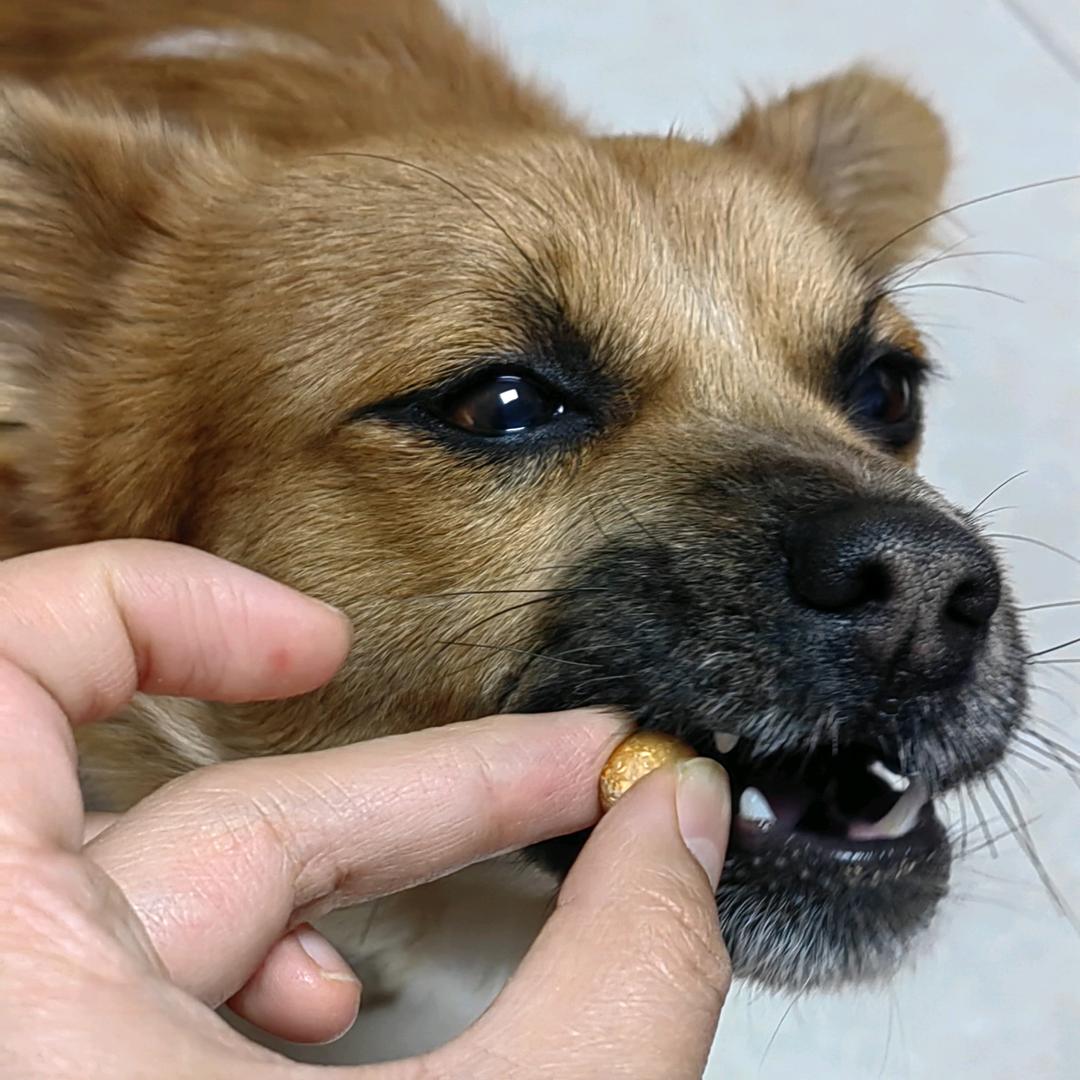 77水煮鱼