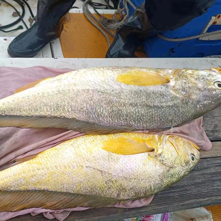 海岛人家，
