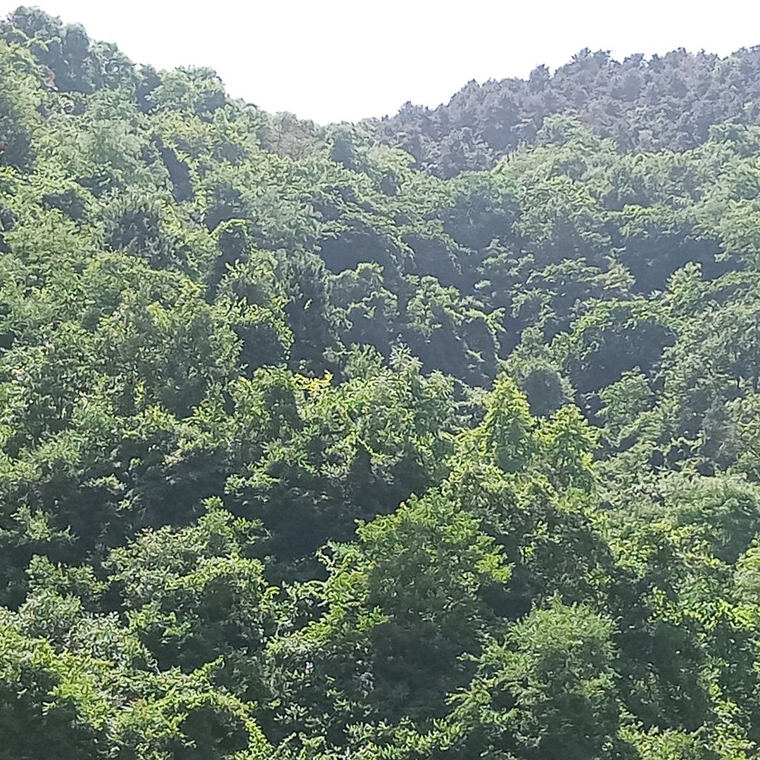 我自风情万种，与世无争