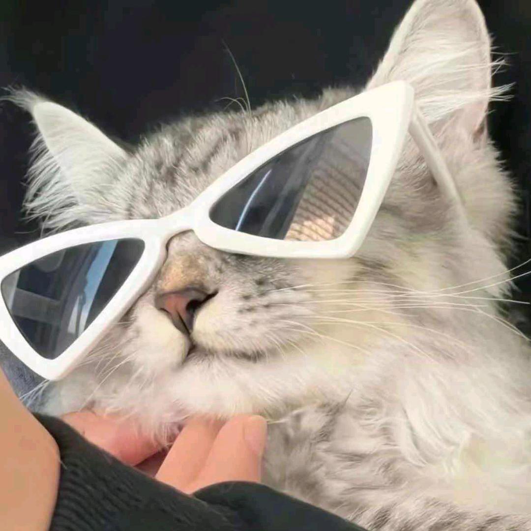 AAA建材批发🐏哥