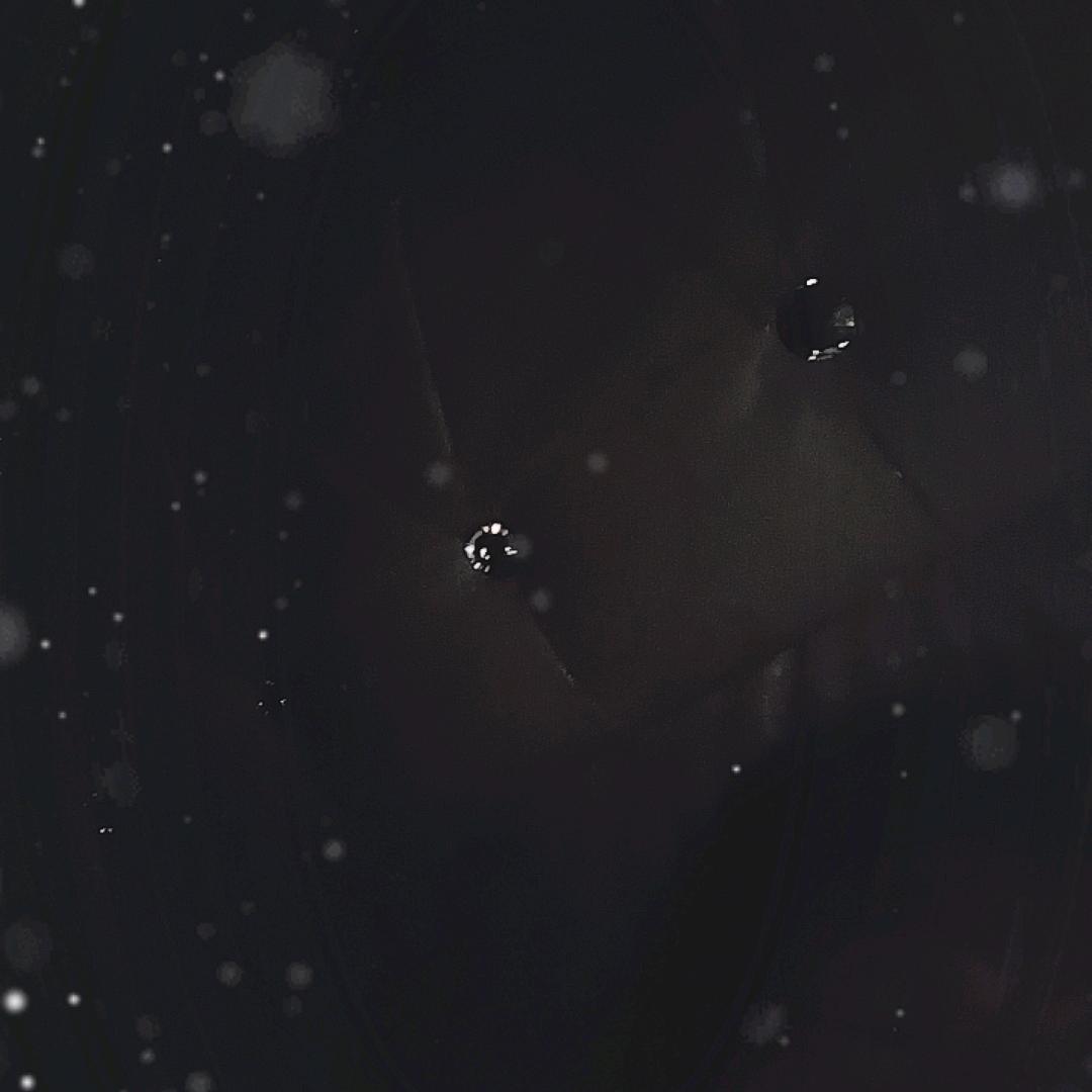 秀珍