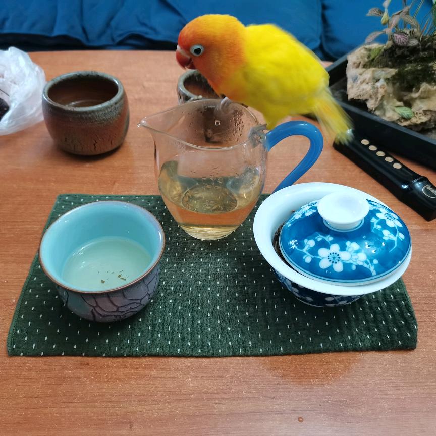 大道🌈️🌈️