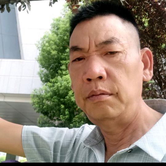 真情