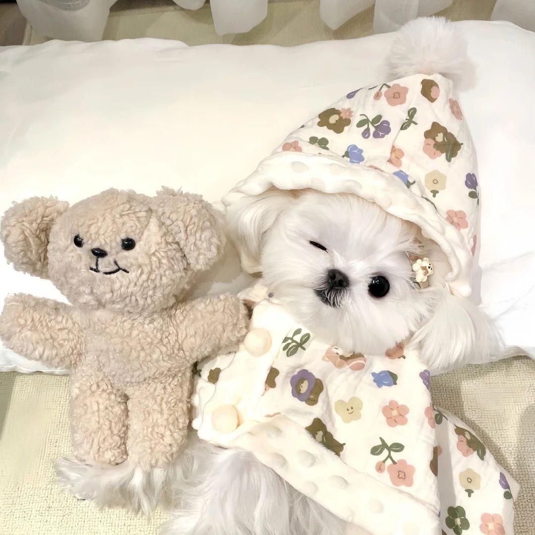 大幸运蛋子~🏰