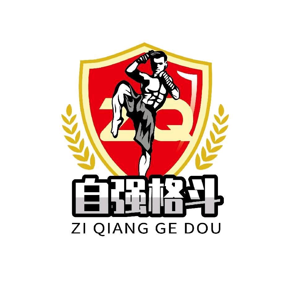 自强 格斗