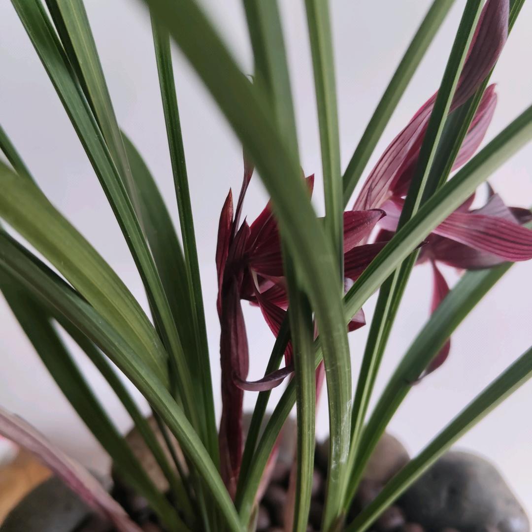 @顺✯⸜其☀️ 自✯然❤