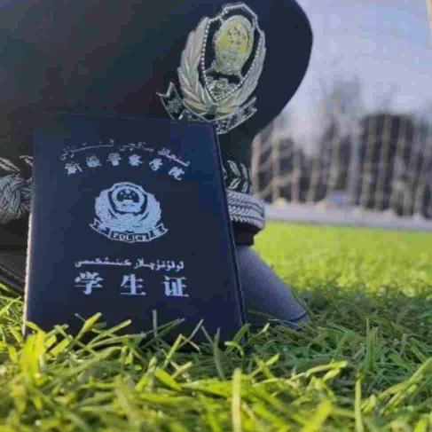 心悦在新疆