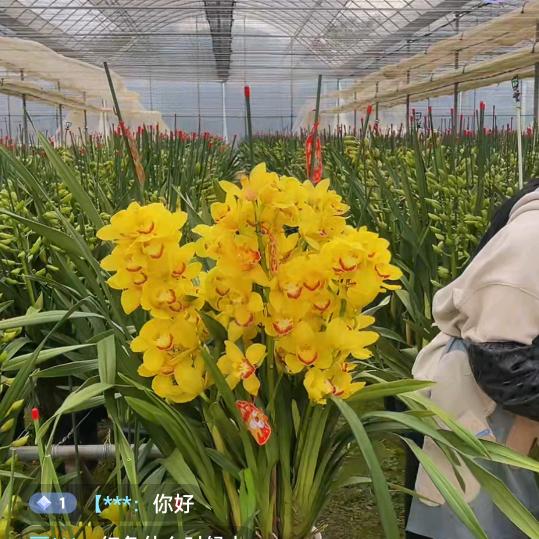 海口秀英壹静阳服装店