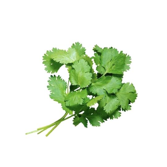 香菜是香的