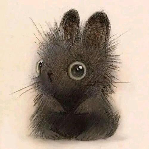 小楼一夜听春雨