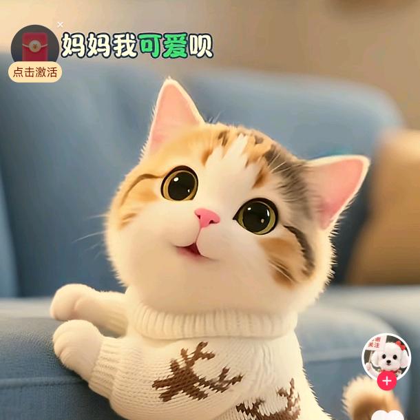 $天总会晴$
