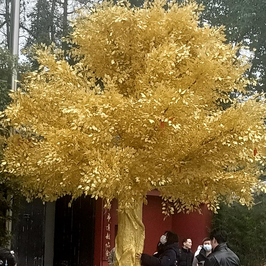 雷姐