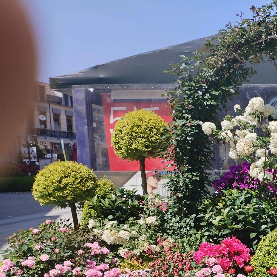 王利