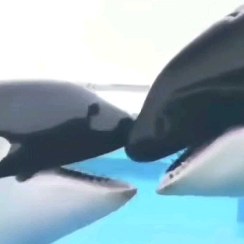 给你点个赞