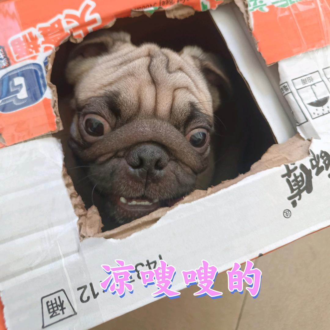 振全
