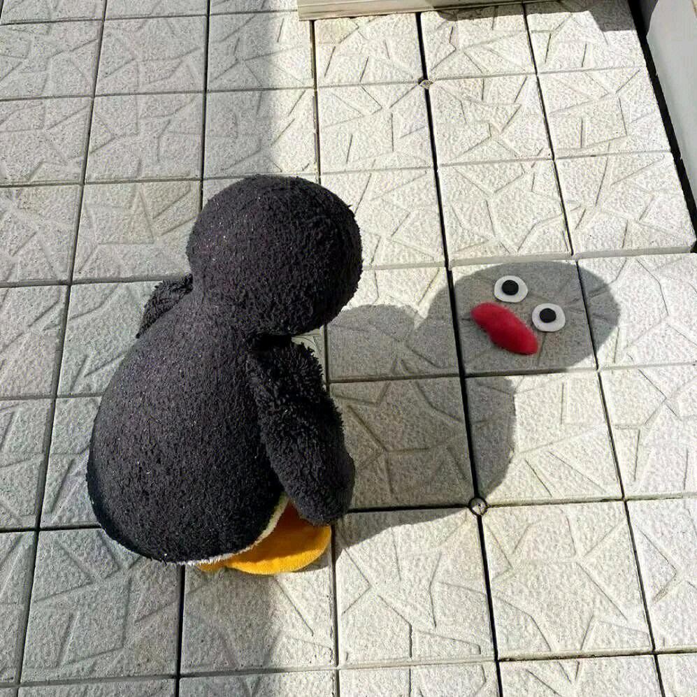 潇洒一生👾