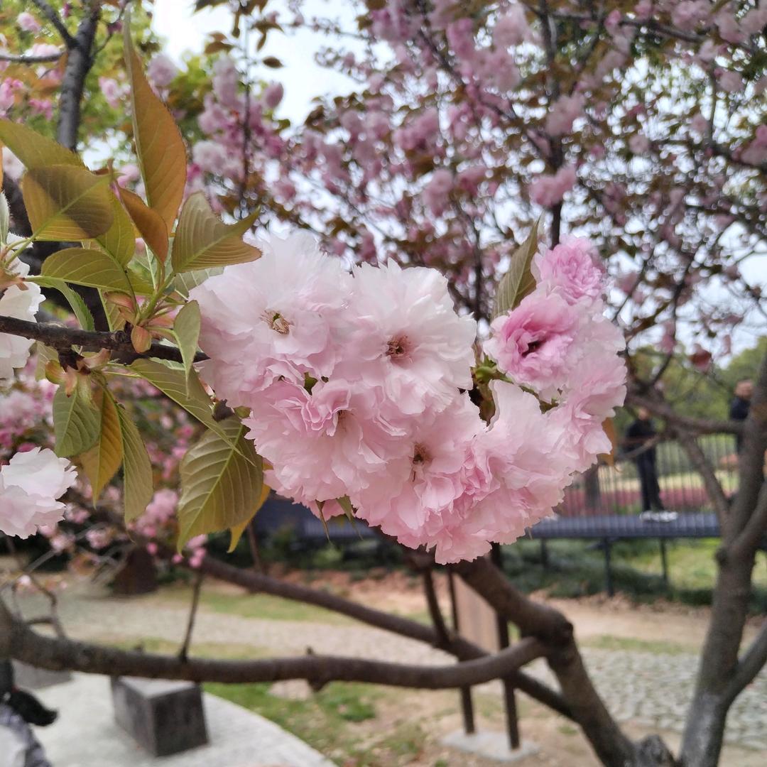 余生好好爱自己❤️❤️