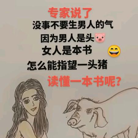 可惜不是你