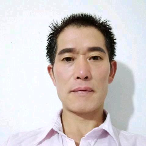 一枝梅