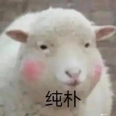 尘嚣阳