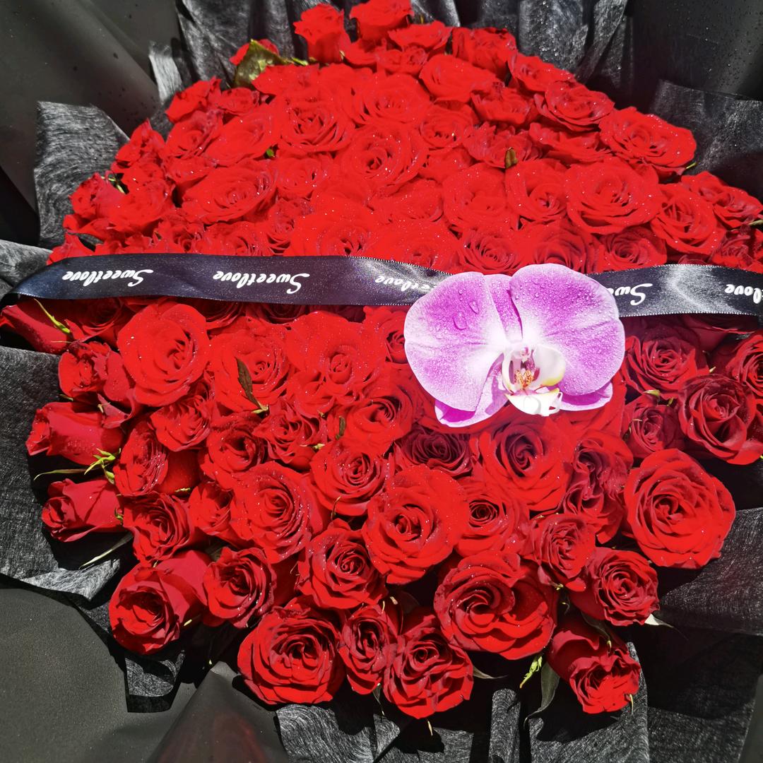 镜花缘