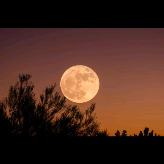 。。。！。！。！