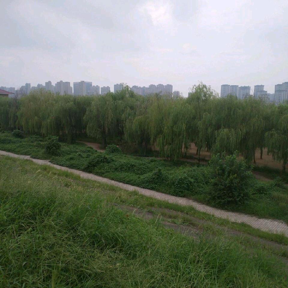 大米酒加工