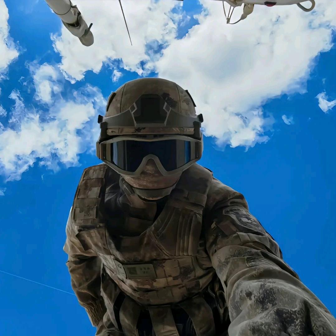 天空云中的一只🐦