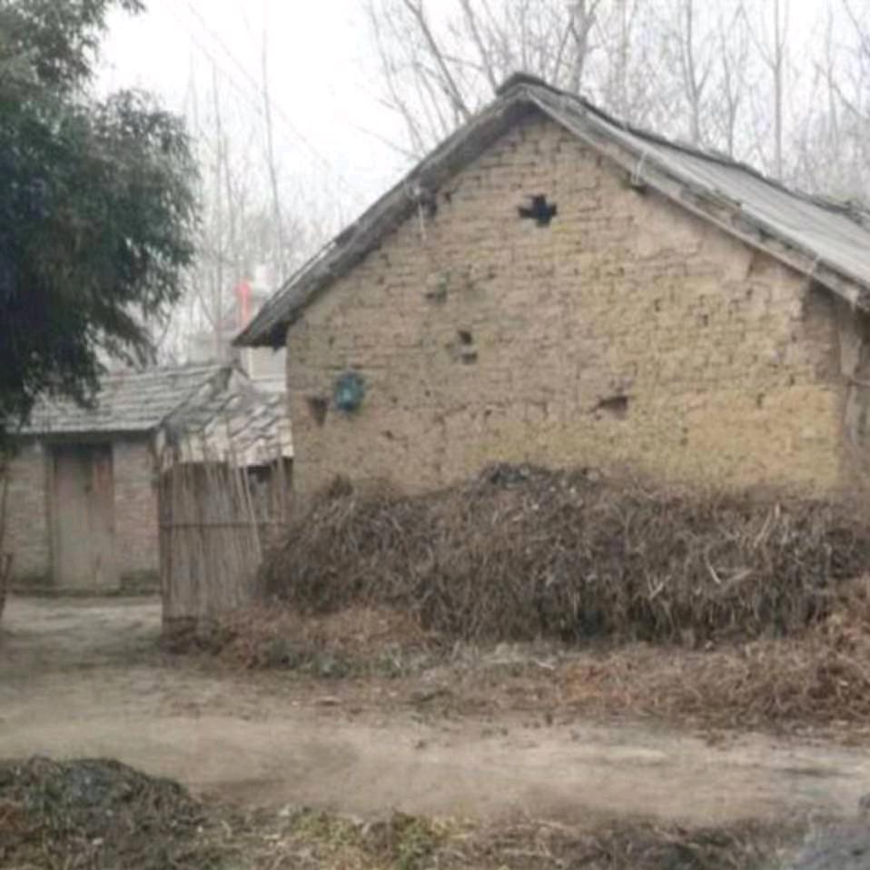 冰山上的“来客