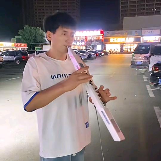 涛哥电吹管音乐😀