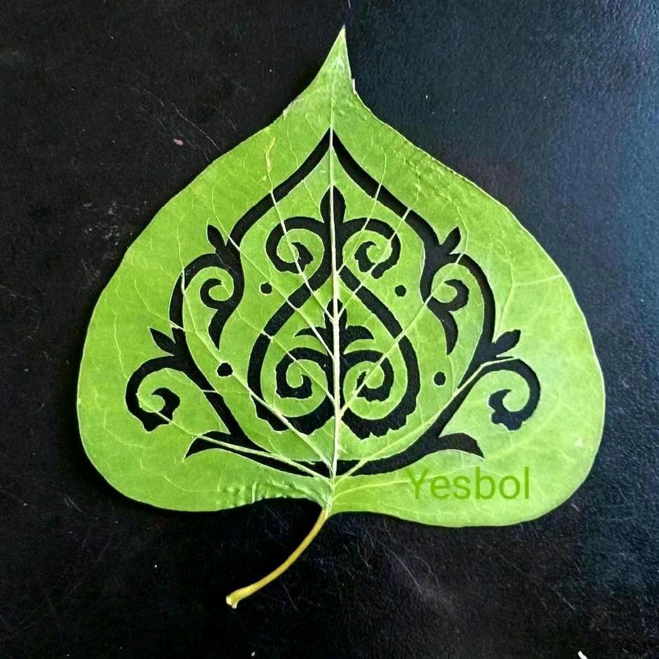 我的阿勒泰