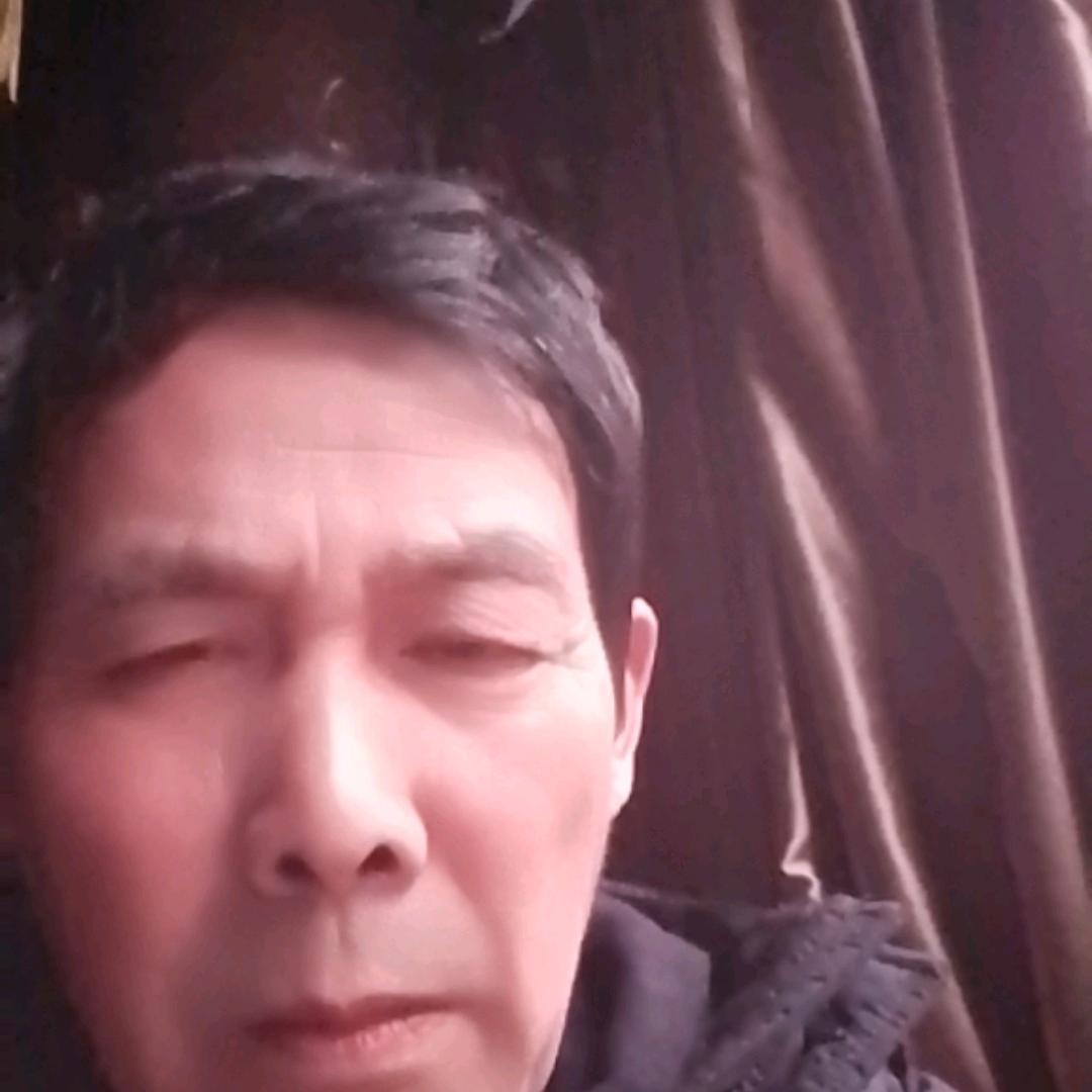 龙龙